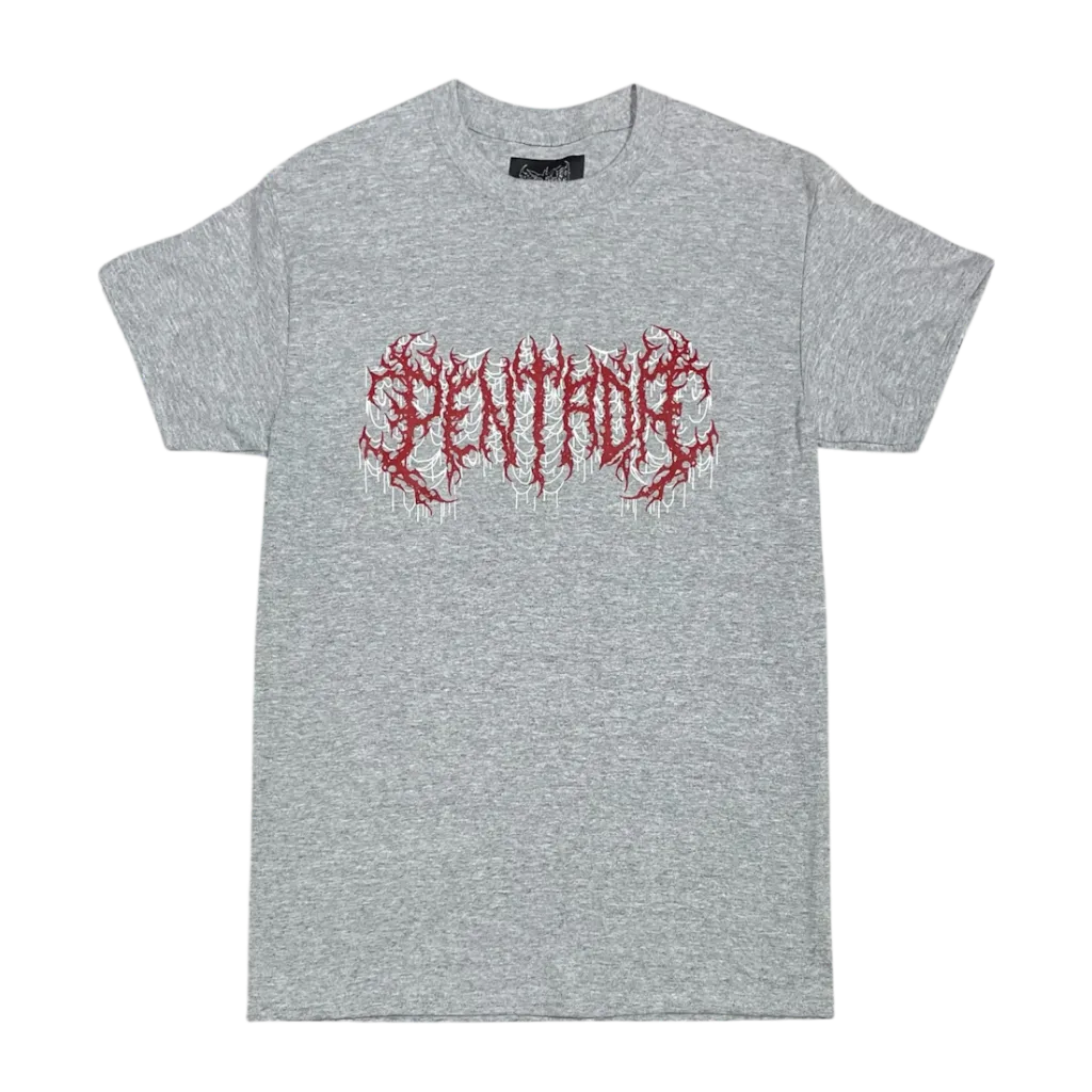 CAMISETA PENTADA SPIDERWEB GRIS